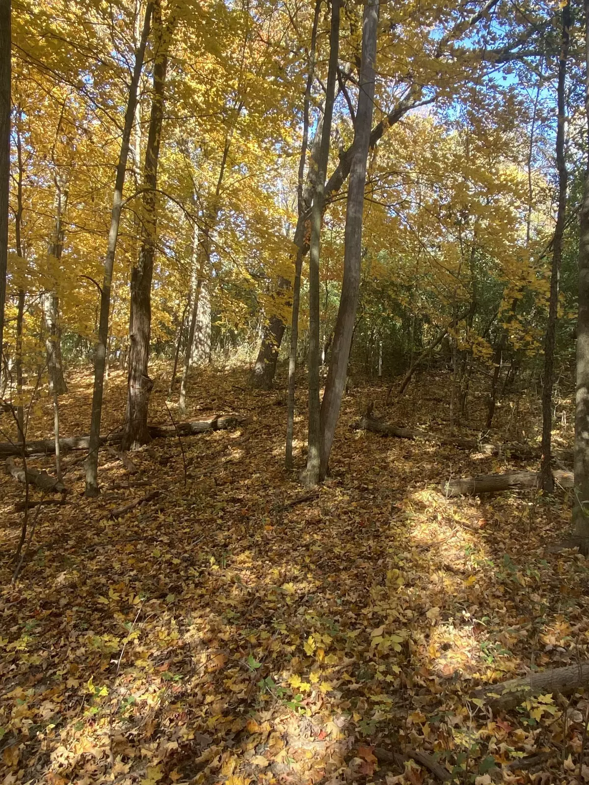 Lafayette, WI 53121,Lt24 Oak Ridge Ct