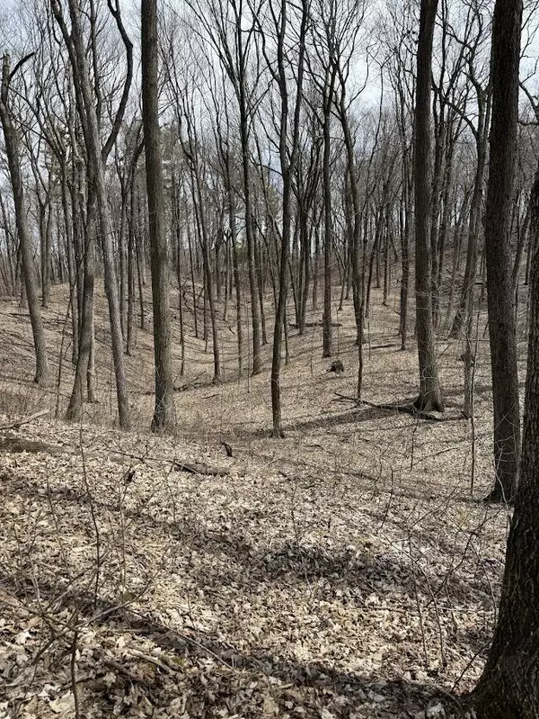 16912 Lax Chapel Rd, Schleswig, WI 53042