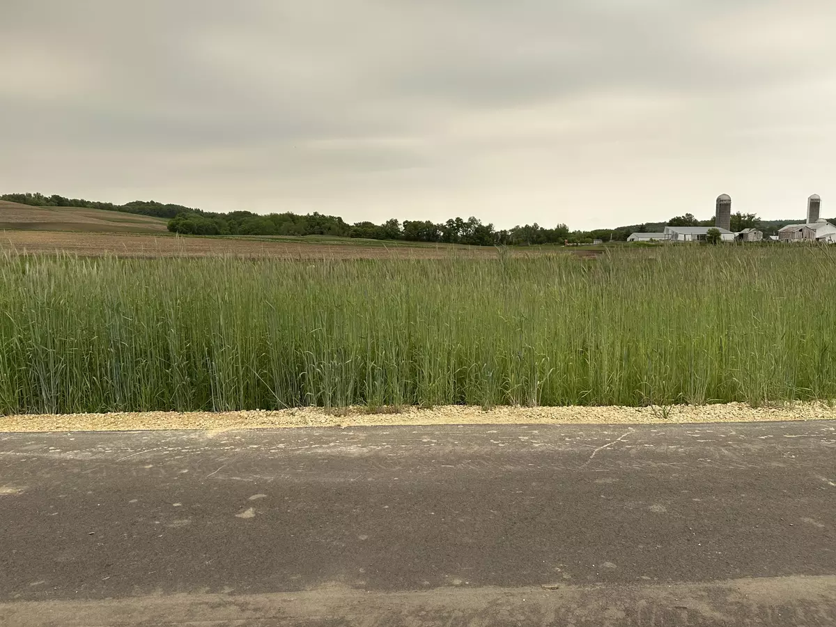 Barre, WI 54601,0 Lot 5 Twin Creeks Rd