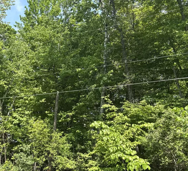 Lt0 Sunset Circle Dr, Mosel, WI 53083