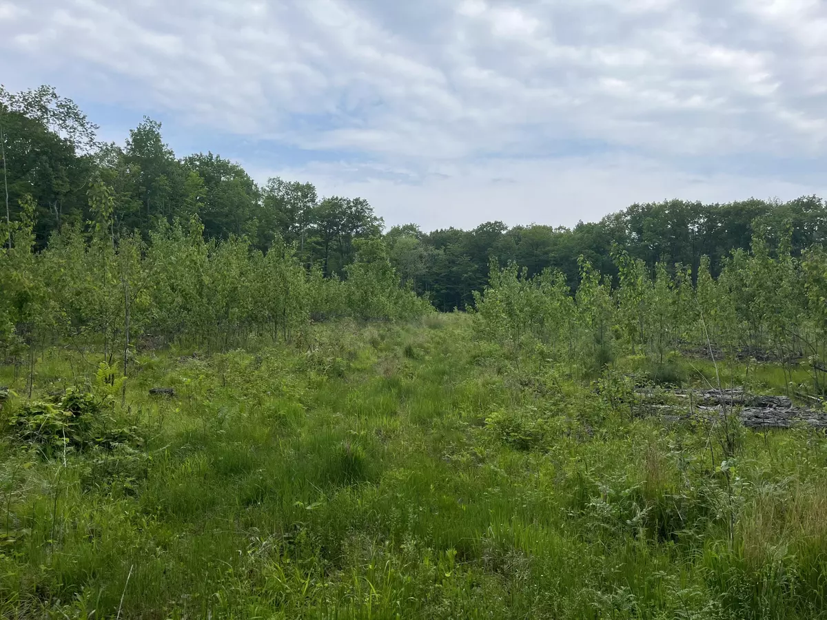 Amberg, WI 54102,W6418 Barker Rd