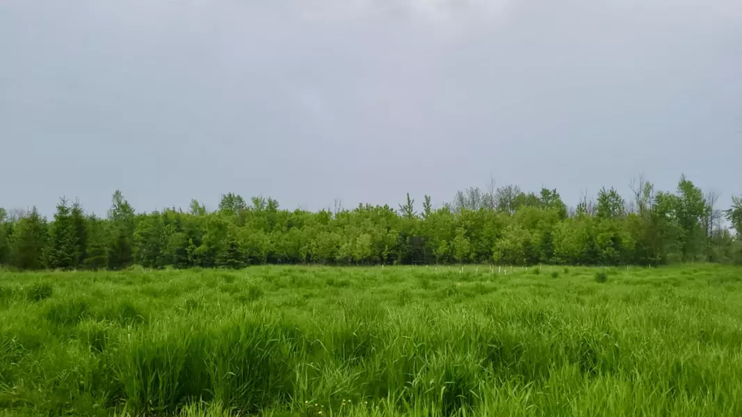 Lt1 Seven Corners Rd, New Holstein, WI 53061