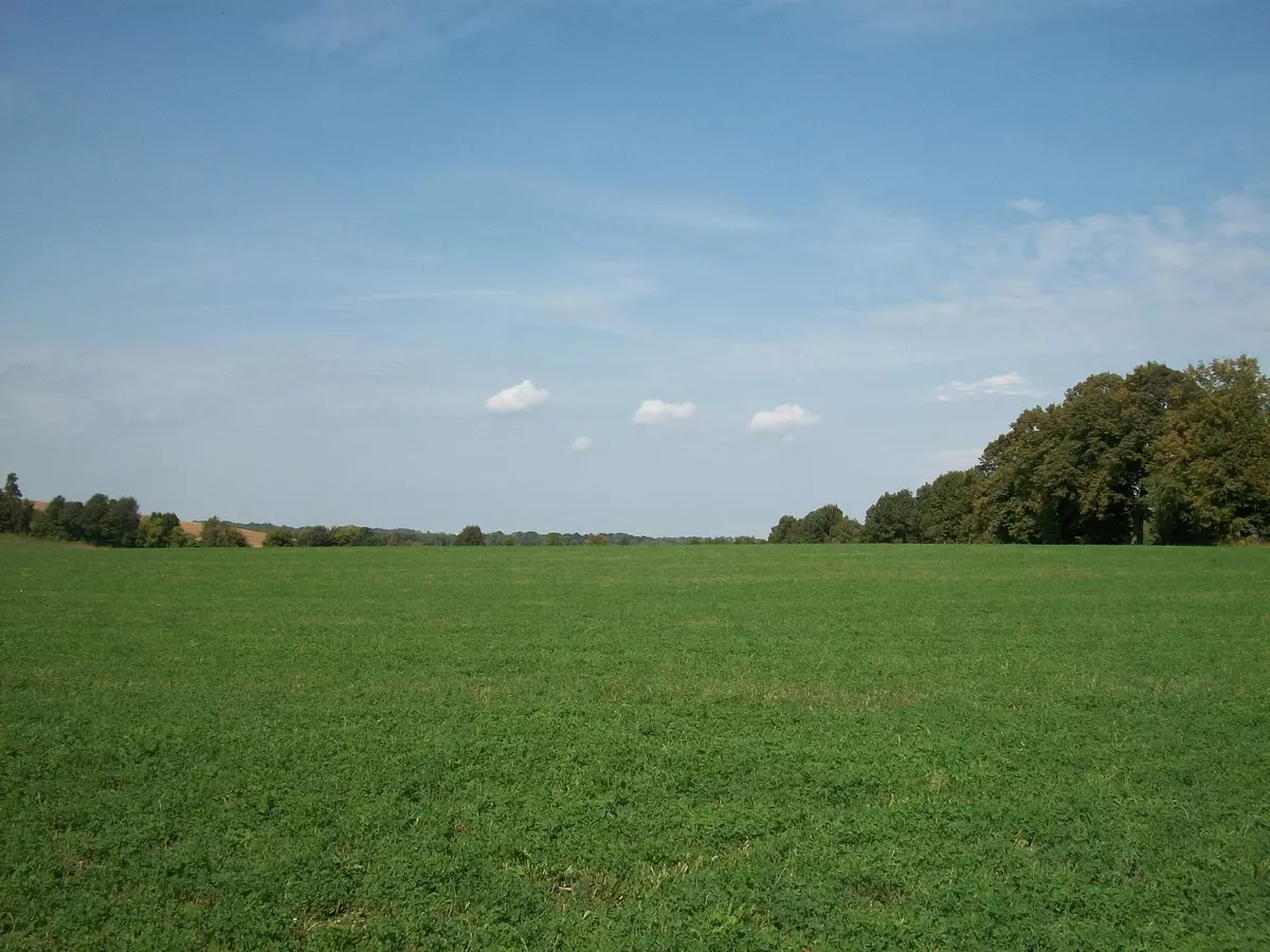 Wayne, WI 53002,Lt3 Wilson Dr