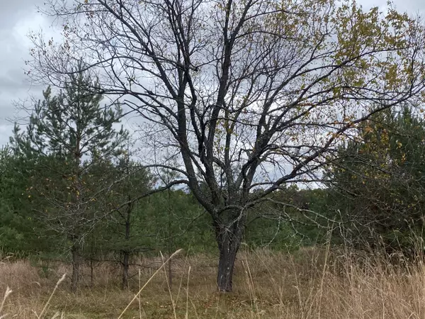 Athelstane, WI 54104,Lt0 Smiley Rd