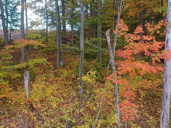 Lt0 County Road I -, Sherman, WI 53075