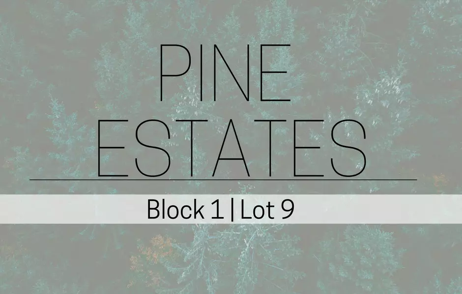 L9B1 PINE ESTATES, Caledonia, MN 55921