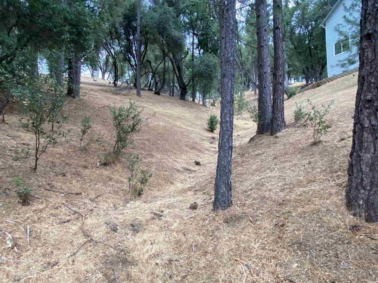 Groveland, CA 95321,10-57 McKinley