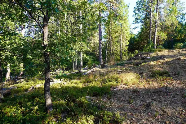Hathaway Pines, CA 95233,157 Canyon View