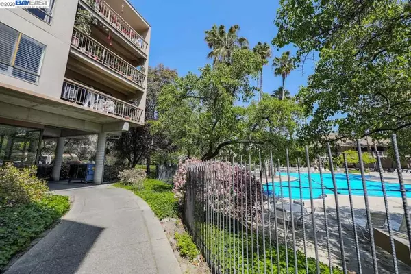 Walnut Creek, CA 94596,360 N Civic Dr #204