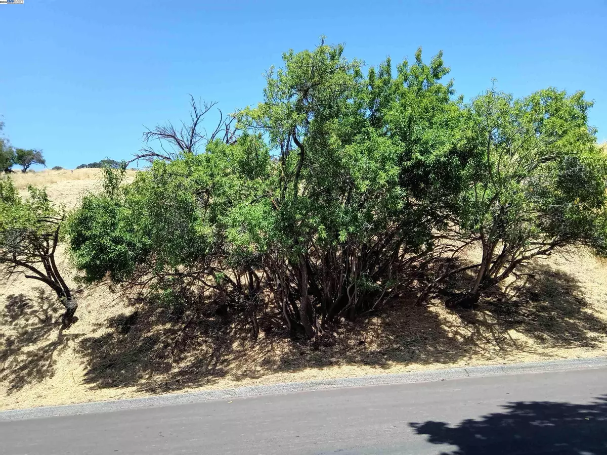 Hayward, CA 94542,00 Central Blvd