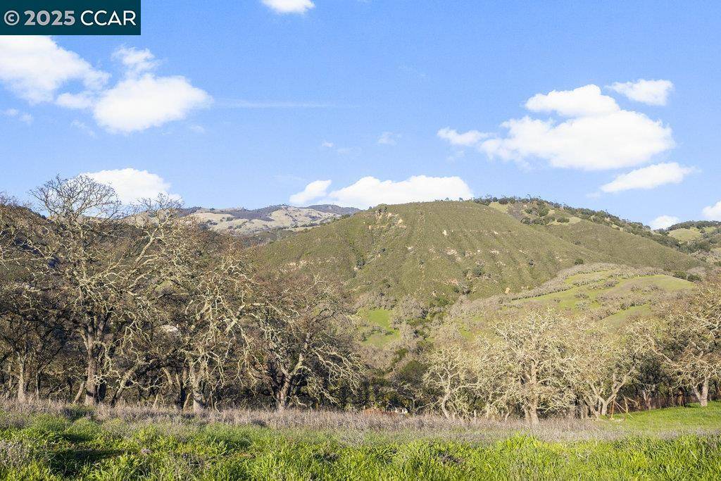 Diablo, CA 94528,2300 Caballo Ranchero Dr