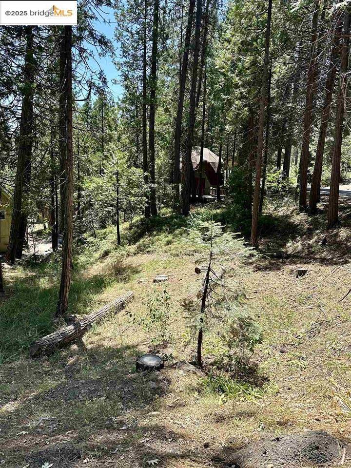 Long Barn, CA 95335,25391 Rebekah Rd