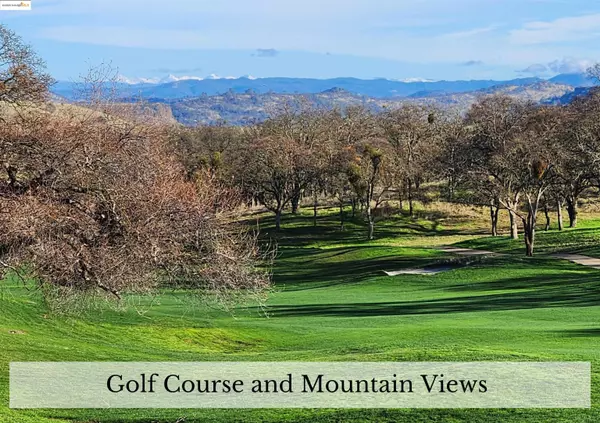 Copperopolis, CA 95228,417 Knolls Drive Lot #224