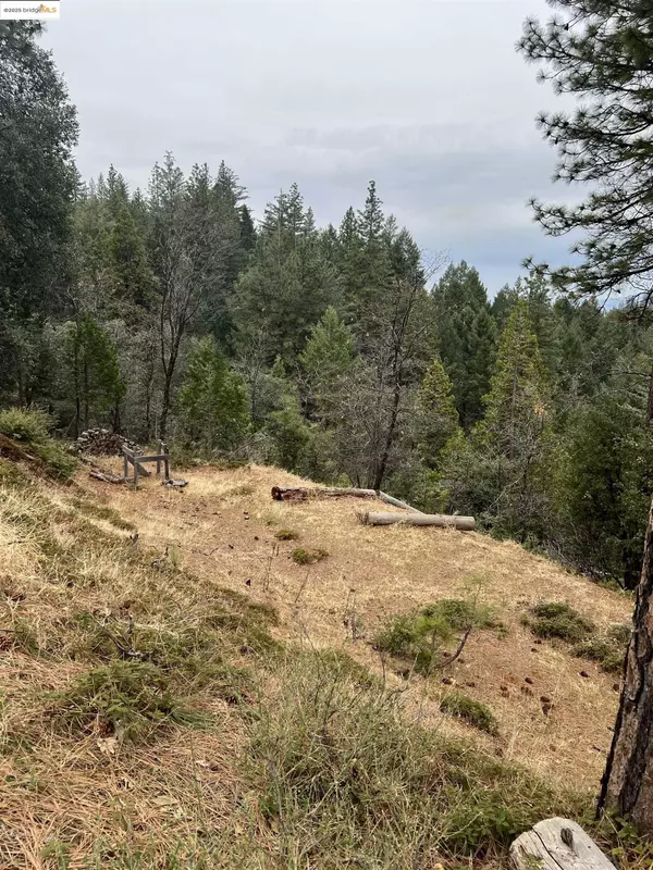 Twain Harte, CA 95383,19262 Tanglewood Trl.