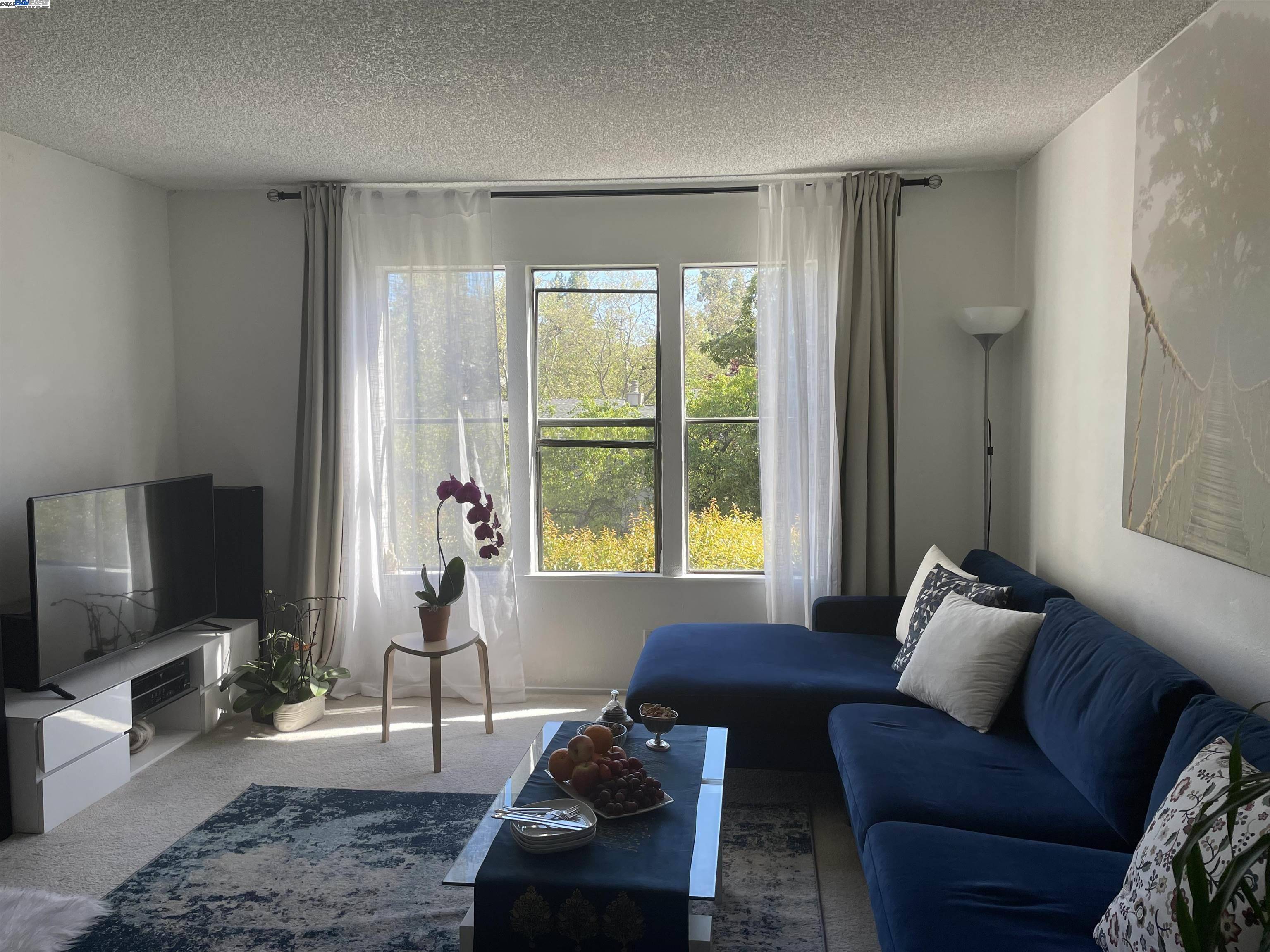 Pleasant Hill, CA 94523,395 Camelback Rd #2