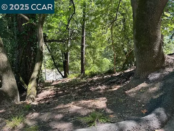Orinda, CA 94563,0 Starkville Ct