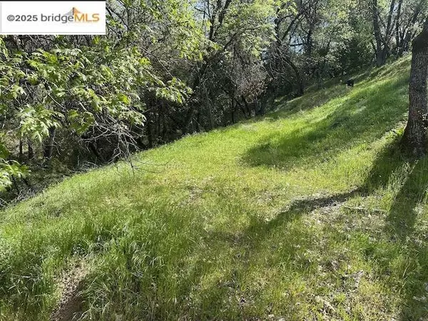 Sonora, CA 95370,21327 American River Dr