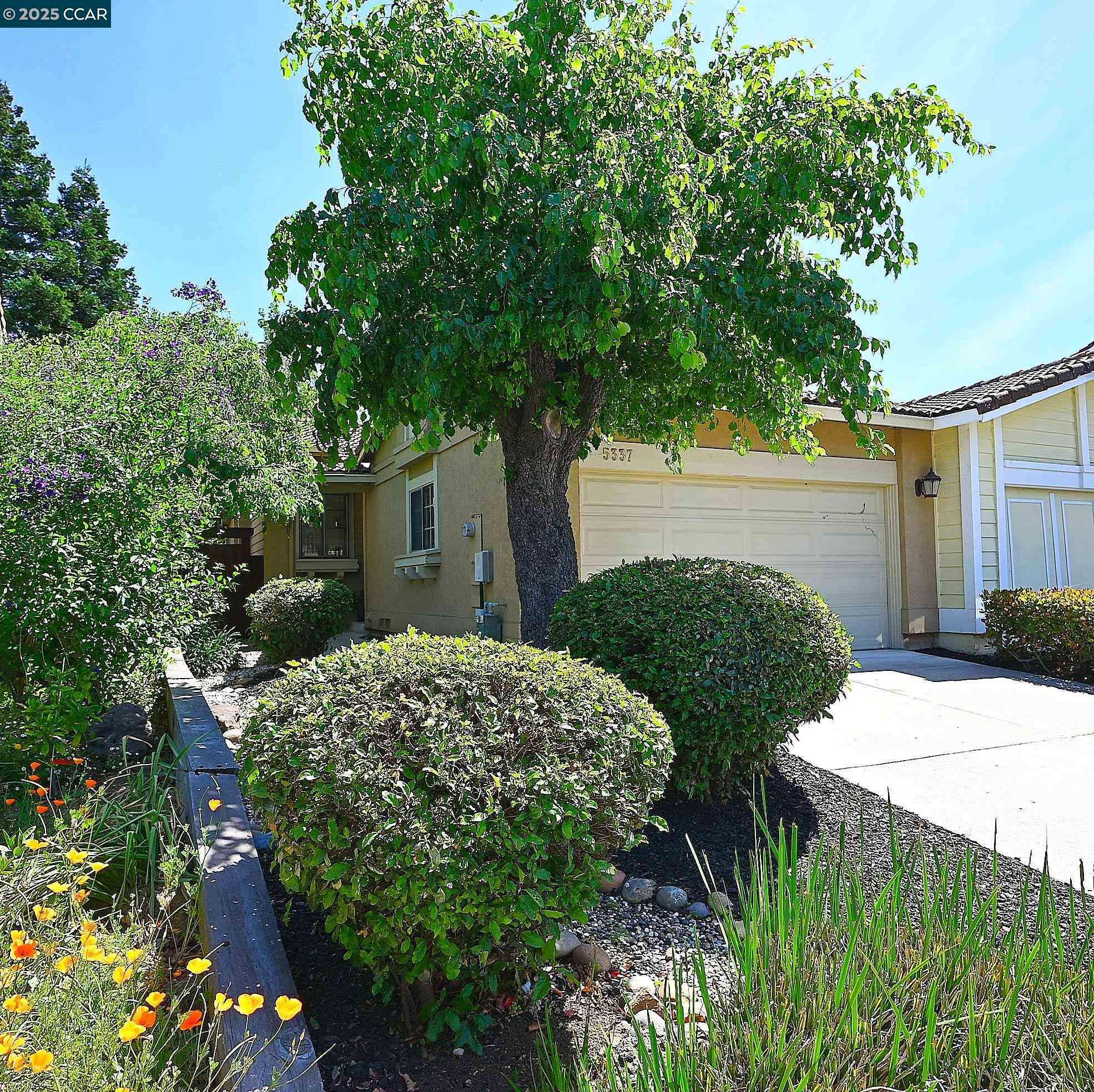 5337 Grasswood Circle, Concord, CA 94521