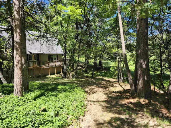 Twain Harte, CA 95383,23875 Marshall Way