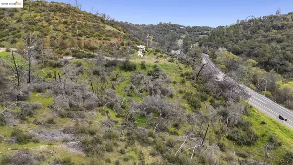 Jamestown, CA 95327,00000 Golden Dove