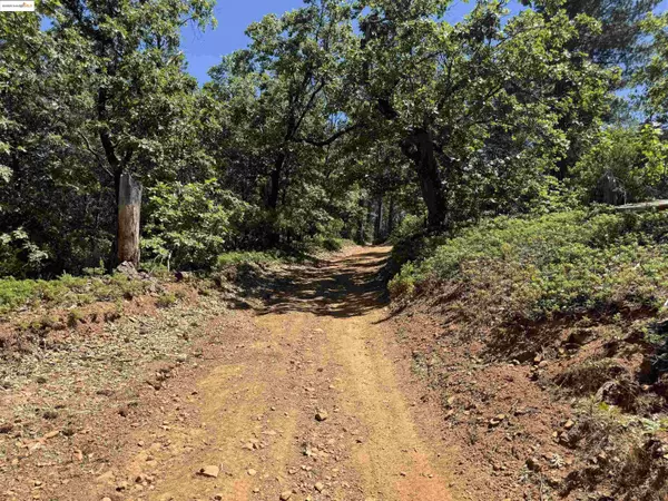Sonora, CA 95370,0000 Forest Service Road 3N50
