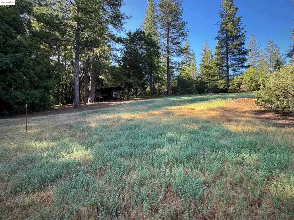 20707 Mount Provo Rd, Twain Harte, CA 95383
