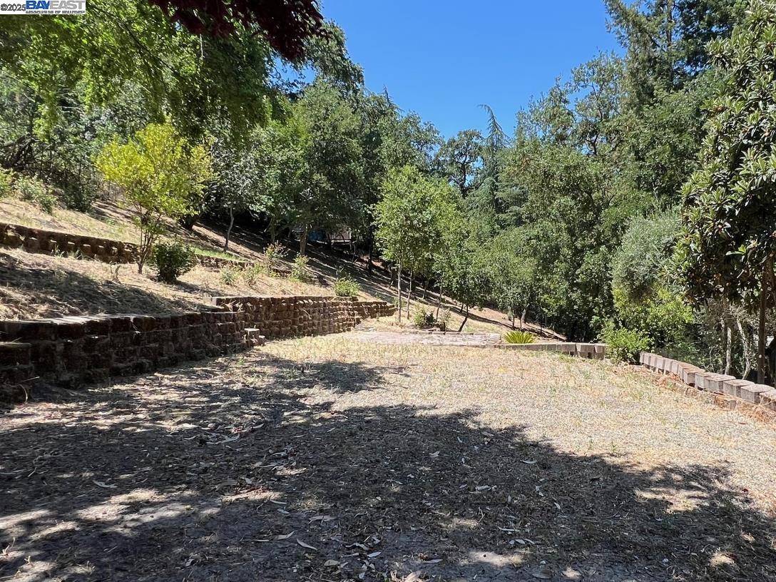 Alamo, CA 94507,1071 Stone Valley Rd