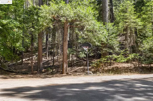 17067 Pony Tail Ct, Sonora, CA 95370