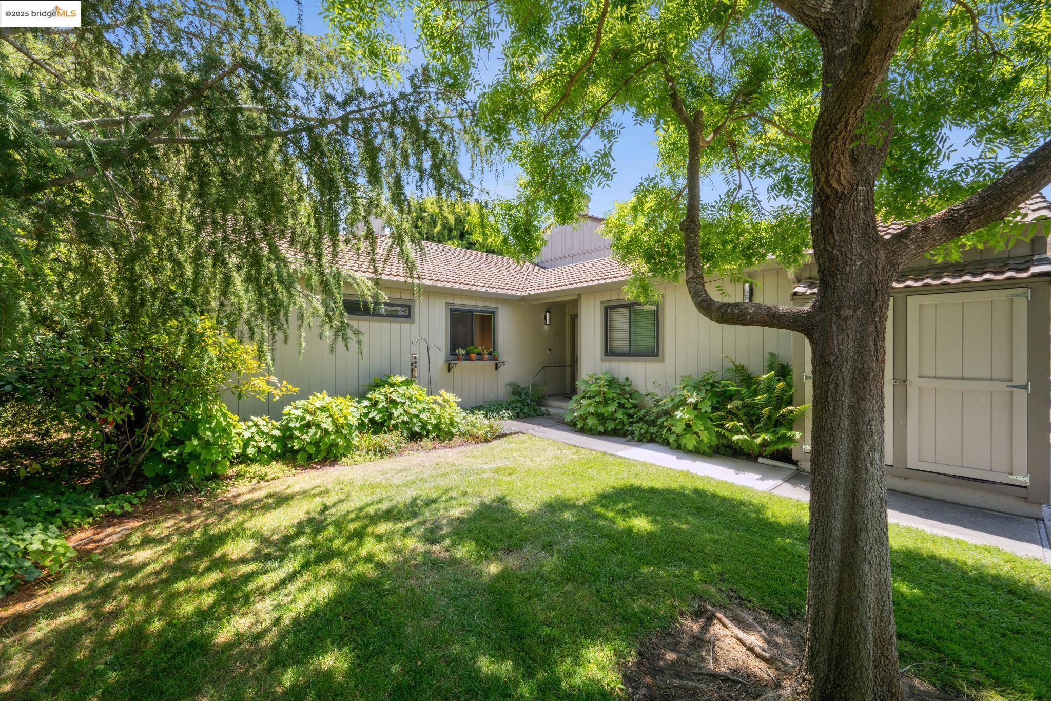 Hercules, CA 94547,167 Wadi Run