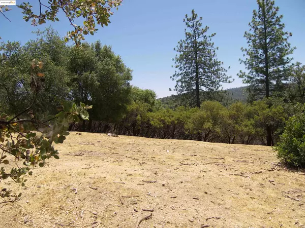 Groveland, CA 95321,12065 Alcan Ct.