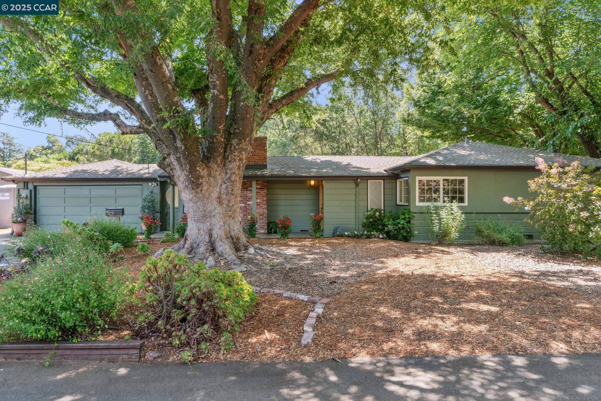 Walnut Creek, CA 94597,41 Heather Ln