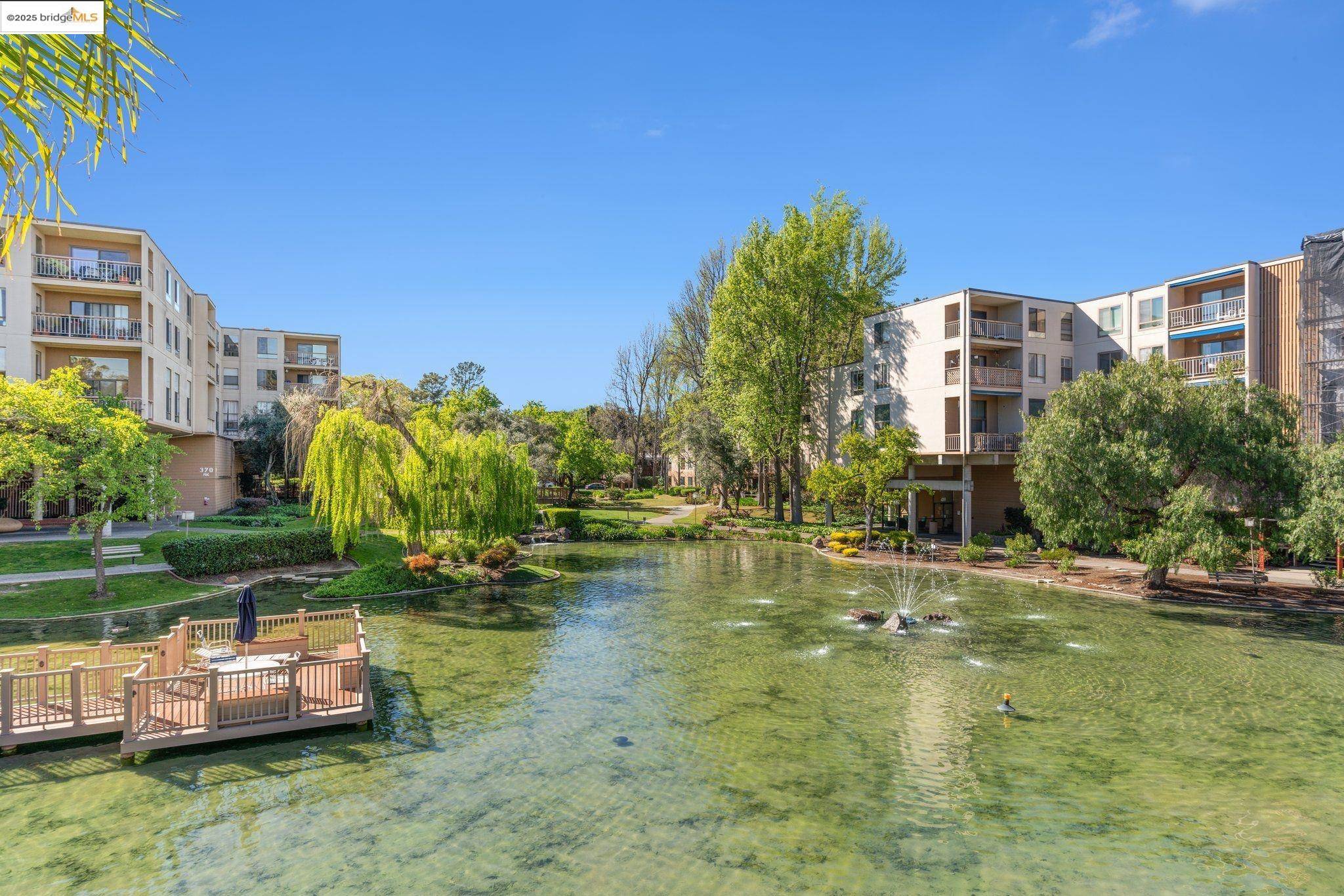 470 N N Civic Drive #105, Walnut Creek, CA 94596