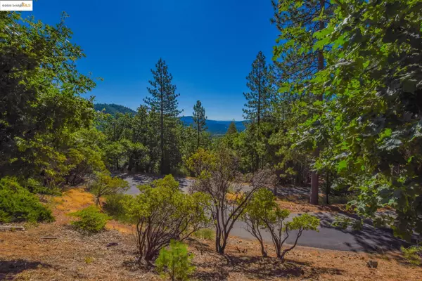Sonora, CA 95370,23890 Pack Trail Road