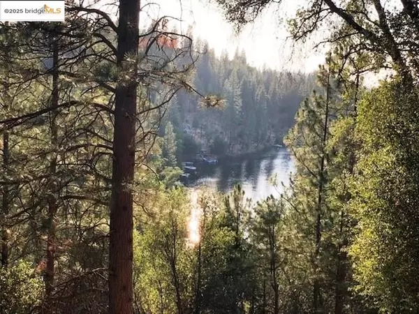 Groveland, CA 95321,20158 Pine Mountain