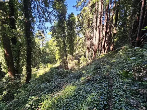 Woodside, CA 94062,LOT27 Old La Honda Rd