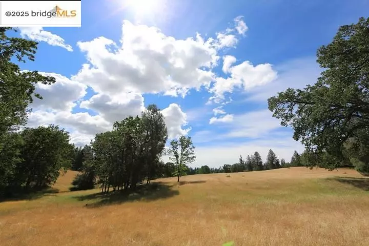 Groveland, CA 95321,22000 Ferretti Rd.