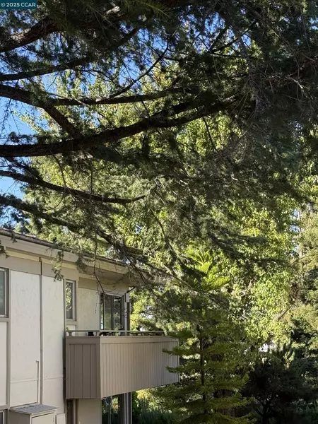2825 Ptarmigan #3, Walnut Creek, CA 94595