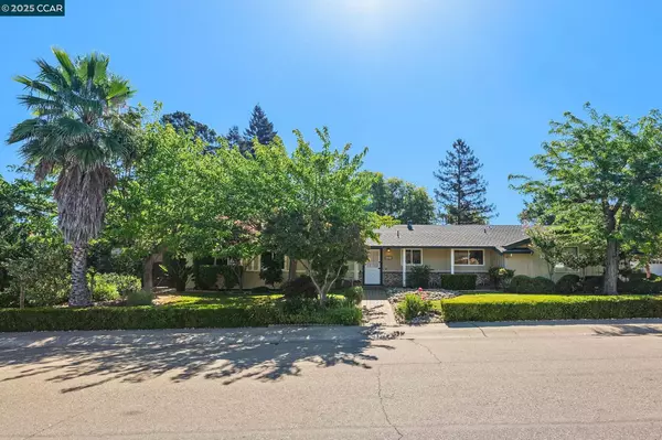 231 Los Felicas Ave, Walnut Creek, CA 94598