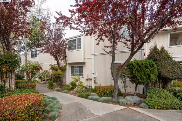 22537 Center St, Castro Valley, CA 94541