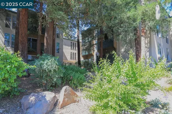 Walnut Creek, CA 94596,185 Sierra Dr #314