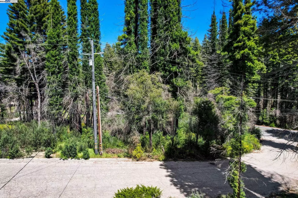 Boulder Creek, CA 95006,0 Fallen Leaf Dr