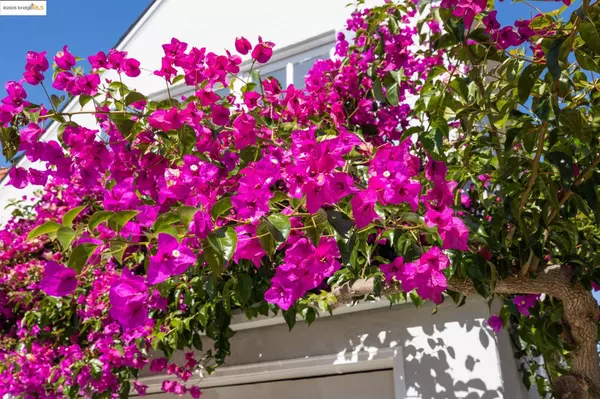 Berkeley, CA 94702,1421 Blake St