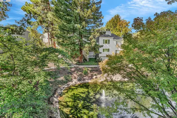 Pleasant Hill, CA 94523,394 Camelback Rd