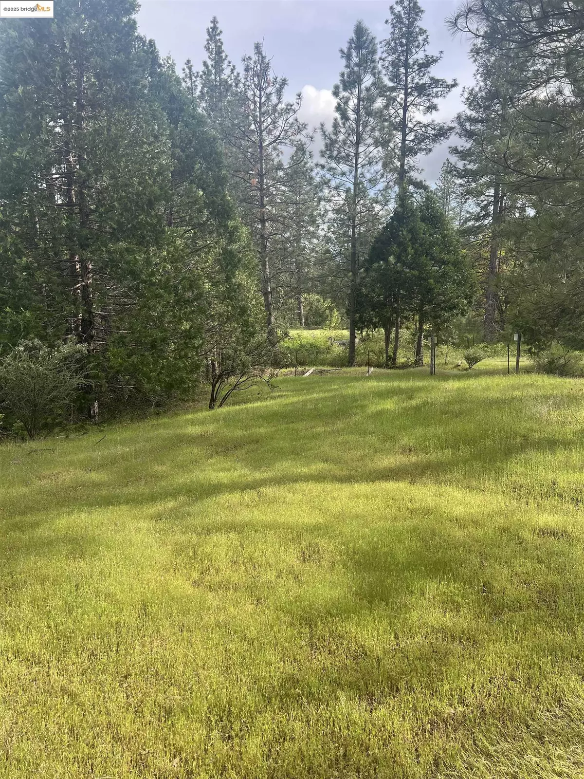 Twain Harte, CA 95383,00 Italian Bar Rd