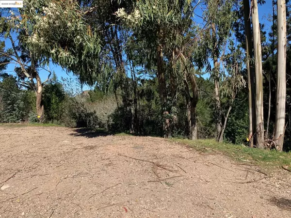 Orinda, CA 94563,89 Starkville Ct