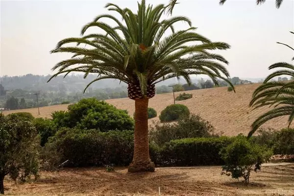 17965 Via de Fortuna, Rancho Santa Fe, CA 92067