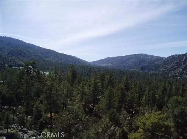 Wrightwood, CA 92397,5490 Easter Drive