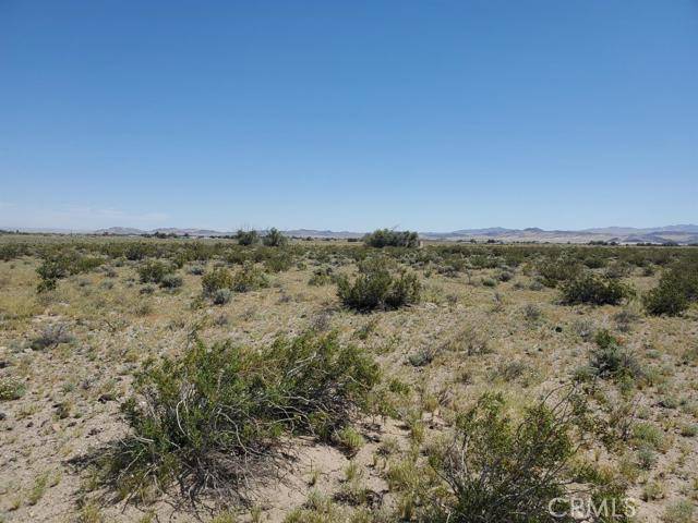 0 Autumn Leaf Road, Newberry Springs, CA 92365