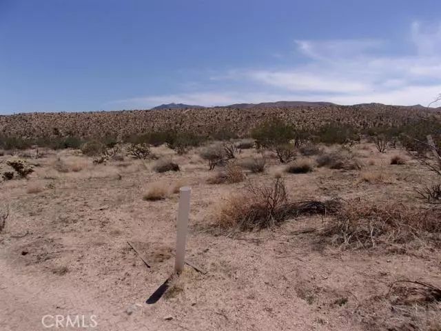 Apple Valley, CA 92308,0 Ocotillo (back parcel) Way