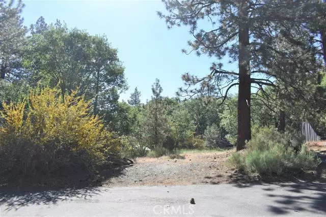 Wrightwood, CA 92397,0 Oriole Court